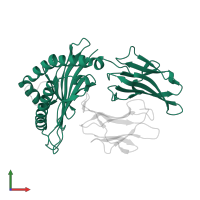 HLA class I histocompatibility antigen, B alpha chain in PDB entry 2nw3, assembly 1, front view.