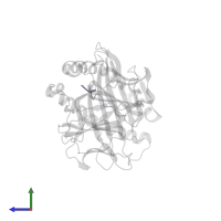 EBV peptide EPLPQGQLTAY in PDB entry 2nw3, assembly 1, side view.