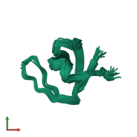 PDB entry 2nwm coloured by chain, ensemble of 20 models, front view.