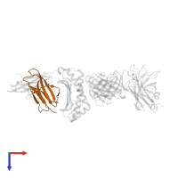 Beta-2-microglobulin in PDB entry 2nx5, assembly 2, top view.