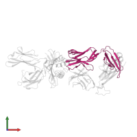 T cell receptor alpha chain constant in PDB entry 2nx5, assembly 2, front view.