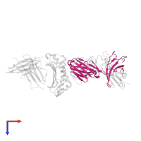 T cell receptor alpha chain constant in PDB entry 2nx5, assembly 2, top view.