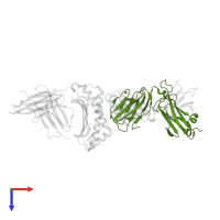 T cell receptor beta constant 1 in PDB entry 2nx5, assembly 2, top view.