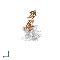 T-cell surface glycoprotein CD4 in PDB entry 2ny1, assembly 1, side view.