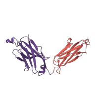 The deposited structure of PDB entry 2ny6 contains 2 copies of CATH domain 2.60.40.10 (Immunoglobulin-like) in Ig-like domain-containing protein. Showing 2 copies in chain D.