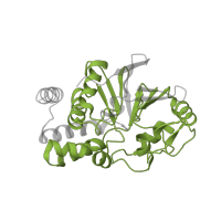 The deposited structure of PDB entry 2nym contains 2 copies of Pfam domain PF00149 (Calcineurin-like phosphoesterase) in Serine/threonine-protein phosphatase 2A catalytic subunit alpha isoform. Showing 1 copy in chain C.