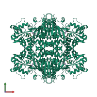 Homo tetrameric assembly 1 of PDB entry 2nz2 coloured by chemically distinct molecules, front view.