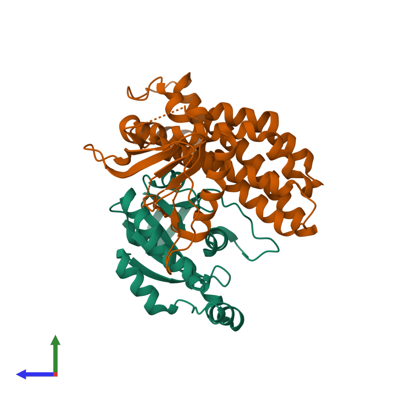<div class='caption-body'><ul class ='image_legend_ul'> Dimeric assembly 1 of PDB entry 2nz8 coloured by chemically distinct molecules and viewed from the side. This assembly contains:<li class ='image_legend_li'>One copy of ras-related C3 botulinum toxin substrate 1 isoform Rac1</li><li class ='image_legend_li'>One copy of triple functional domain protein</li></ul></div>