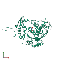 PDB entry 2o0j coloured by chain, front view.