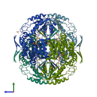 PDB entry 2o2r coloured by chain, side view.
