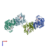 PDB entry 2o2z coloured by chain, top view.