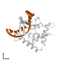 DNA (5'-D(*DGP*DCP*DAP*DTP*DAP*DTP*DAP*DTP*DTP*DAP*DGP*DC)-3') in PDB entry 2o4a, assembly 1, front view.