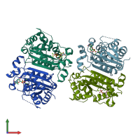 PDB entry 2o4g coloured by chain, front view.