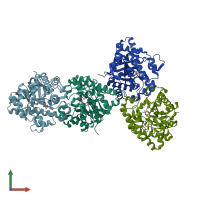 PDB entry 2o4q coloured by chain, front view.