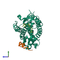 Hetero dimeric assembly 1 of PDB entry 2o4r coloured by chemically distinct molecules, side view.