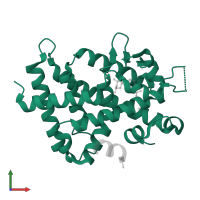 Vitamin D3 receptor in PDB entry 2o4r, assembly 1, front view.