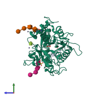 PDB entry 2o51 coloured by chain, side view.