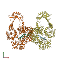 PDB entry 2o54 coloured by chain, front view.