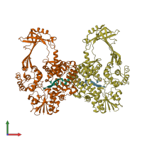 PDB entry 2o5c coloured by chain, front view.