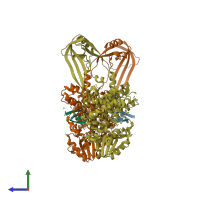 PDB entry 2o5c coloured by chain, side view.