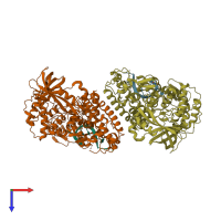 PDB entry 2o5c coloured by chain, top view.