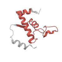 The deposited structure of PDB entry 2o5i contains 2 copies of Pfam domain PF01192 (RNA polymerase Rpb6) in DNA-directed RNA polymerase subunit omega. Showing 1 copy in chain K [auth E].