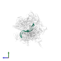 5'-D(P*CP*CP*CP*TP*GP*TP*CP*TP*GP*GP*CP*GP*TP*TP*CP*GP*CP*GP*CP*GP*CP*CP*G)-3' in PDB entry 2o5i, assembly 1, side view.