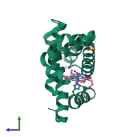 PDB entry 2o5q coloured by chain, side view.