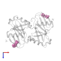 2-(N-MORPHOLINO)-ETHANESULFONIC ACID in PDB entry 2o6v, assembly 1, top view.