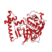 The deposited structure of PDB entry 2o6x contains 1 copy of CATH domain 3.90.70.10 (Cathepsin B; Chain A) in Cathepsin L-like proteinase. Showing 1 copy in chain A.