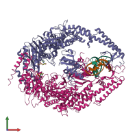 PDB entry 2o8b coloured by chain, front view.