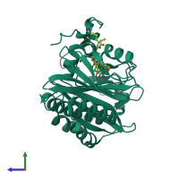 PDB entry 2o9b coloured by chain, side view.