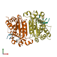 PDB entry 2oa8 coloured by chain, front view.