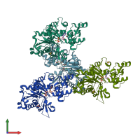 PDB entry 2oan coloured by chain, front view.