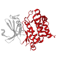 The deposited structure of PDB entry 2obj contains 1 copy of CATH domain 1.10.510.10 (Transferase(Phosphotransferase); domain 1) in Serine/threonine-protein kinase pim-1. Showing 1 copy in chain A.