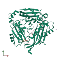 PDB entry 2obv coloured by chain, front view.