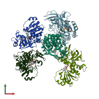 PDB entry 2oby coloured by chain, front view.