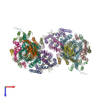 PDB entry 2occ coloured by chain, top view.