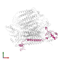 Cytochrome c oxidase subunit 4 isoform 1, mitochondrial in PDB entry 2occ, assembly 1, front view.