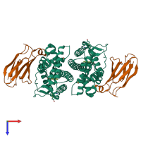 Hetero tetrameric assembly 1 of PDB entry 2ocf coloured by chemically distinct molecules, top view.