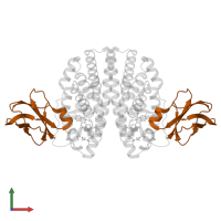 Ugl-Y3 in PDB entry 2ocf, assembly 1, front view.