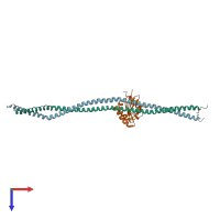 PDB entry 2ocy coloured by chain, top view.