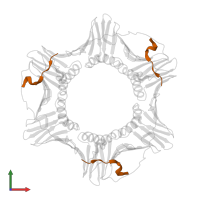 DNA ligase 1 in PDB entry 2od8, assembly 1, front view.