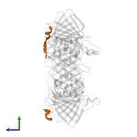 DNA ligase 1 in PDB entry 2od8, assembly 1, side view.