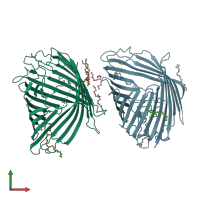 PDB entry 2odj coloured by chain, front view.