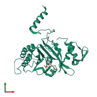 PDB entry 2odw coloured by chain, front view.