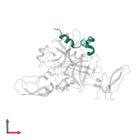 Thrombin light chain in PDB entry 2ody, assembly 2, front view.