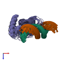 PDB entry 2oeh coloured by chain, ensemble of 17 models, top view.
