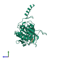 PDB entry 2oep coloured by chain, side view.