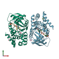 PDB entry 2ofp coloured by chain, front view.